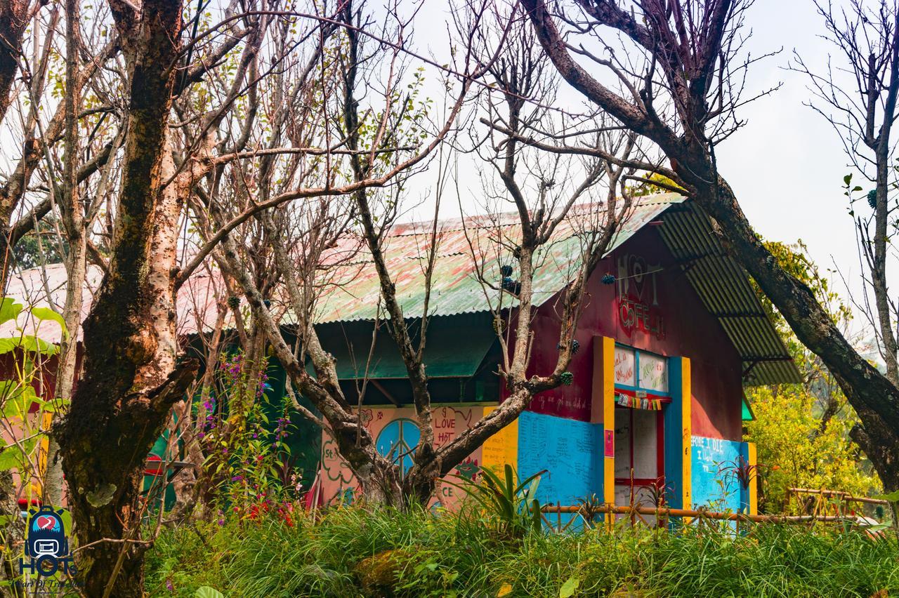 Patwa Dunga Hots Nainital 호스텔 외부 사진